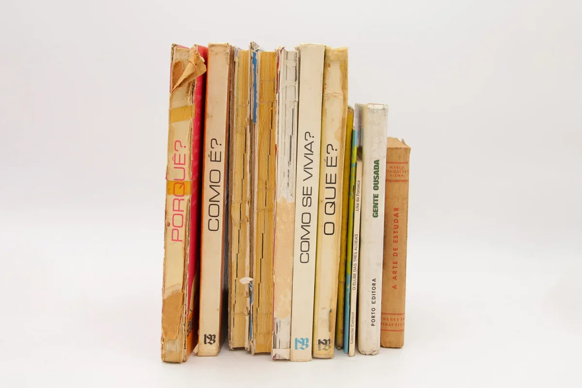 Bundle livros variados de aprendizagem