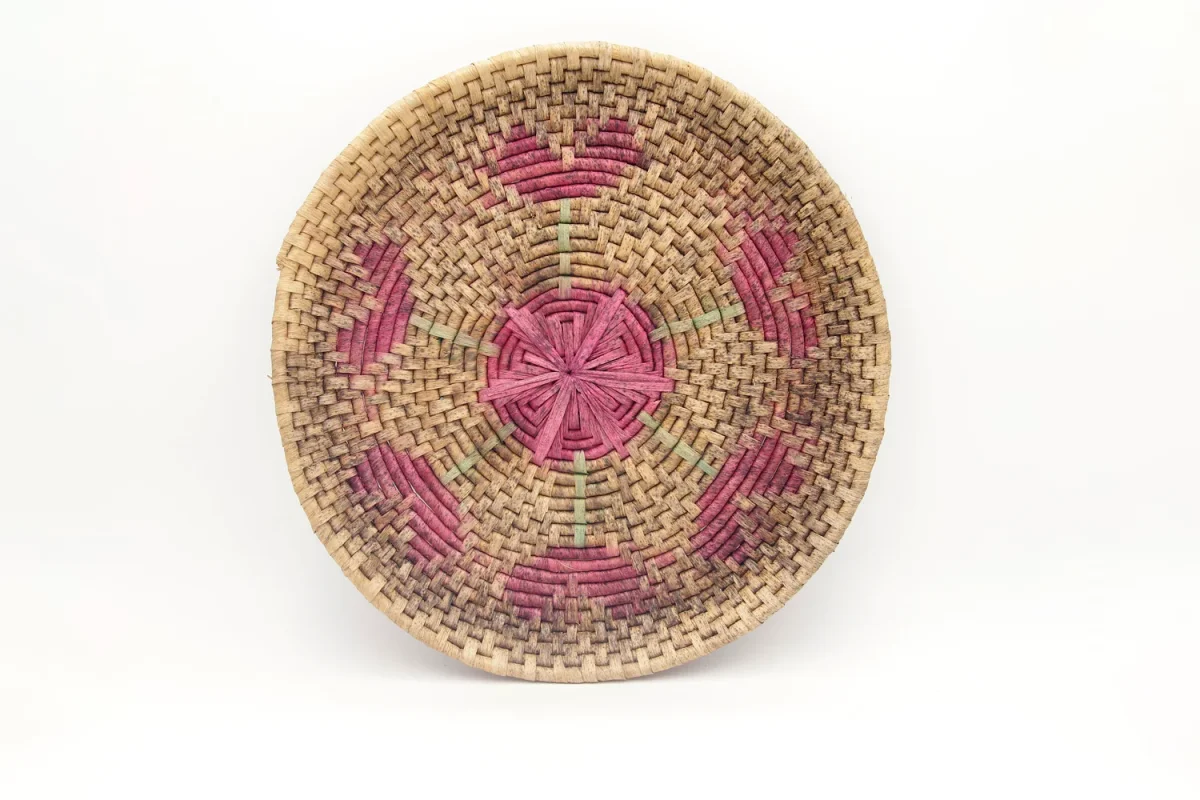 Cesta C14